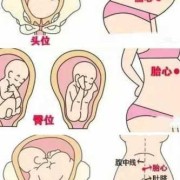 孕晚期胎儿位置（孕36周胎心位置在肚脐眼下面，胎位是什么样的）