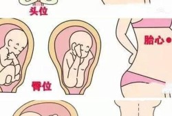 孕晚期胎儿位置（孕36周胎心位置在肚脐眼下面，胎位是什么样的）