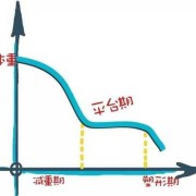 生长停滞期名词解释,胎儿发育停滞是什么意思