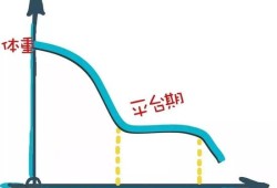 生长停滞期名词解释,胎儿发育停滞是什么意思