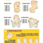 胎儿是侧身（胎儿侧身男孩女孩的图）