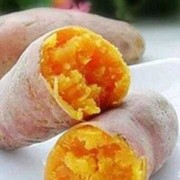 胎儿偏小吃红薯长胎吗（宝宝十一个月能不能吃蒸的红薯）