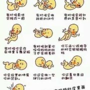 胎儿打嗝位置在肚脐旁（胎儿打嗝位置在肚脐旁）
