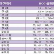 孕期要多少天（怀孕孕期一共多少天）