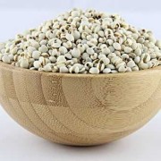 备孕期可以吃薏仁吗（备孕期可以吃薏仁吗）