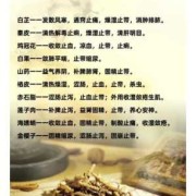中药保胎对胎儿的好处（怀孕后能吃中药吗）