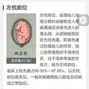 胎儿左枕前位是什么意思（胎儿左枕前位是什么意思图片）