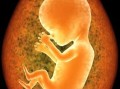 怀孕27周胎儿多大（怀孕27周胎儿多大图片）