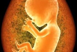 怀孕27周胎儿多大（怀孕27周胎儿多大图片）