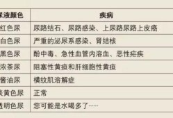 孕期尿很骚（尿的尿骚味特别大是什么原因）