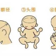 胎儿头大怎么回事（孕检胎儿头大怎么回事）