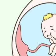 胎停了有什么症状,胎儿停育的表现有哪些
