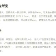 孕期做nt的最佳时间（做nt的周数怎么算）