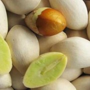 孕期能吃白果吗（科普丨银杏果可以吃吗）