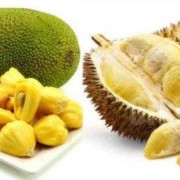 怀孕吃菠萝对胎儿好吗（怀孕吃榴莲对胎儿好吗）