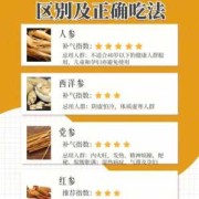 备孕期间可以吃人参吗（备孕期间可以吃人参吗）