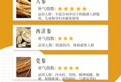 备孕期间可以吃人参吗（备孕期间可以吃人参吗）
