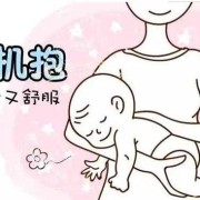 胎儿臀趴（新生儿趴抱的姿势）