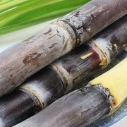 怀孕能不能吃甘蔗,孕期喜欢吃甘蔗好不好