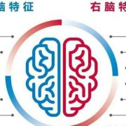 左脑跟右脑区别,胎儿胼胝体缺失是什么意思