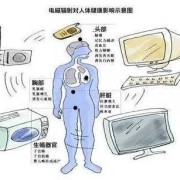 辐射会对胎儿造成什么影响（辐射会对胎儿造成什么影响）