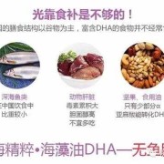 孕期dha（孕期dha从什么时候吃,吃到什么时候）