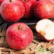 孕晚期吃什么不长胎儿（孕晚期可以吃牛，羊肉吗）