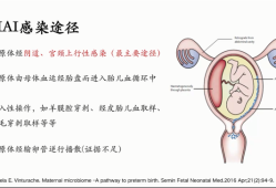 胎儿宫内感染的原因（胎儿宫内感染的原因）
