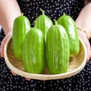 孕期吃脆瓜（孕期吃脆瓜糖分高嘛?）