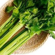 备孕期间可以吃芹菜吗（芹菜叶酸含量高吗）