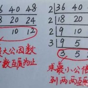 32和30最大公倍数短除,孕32周胎儿头大腿短怎么回事