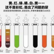 怀孕期尿黄正常吗（怀孕期尿黄正常吗）