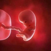 怀孕15周胎儿发育图（怀孕15周还会胎停吗，一般是什么原因造成的，要怎样预防呀）