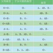 胎儿ao（妈妈A型血爸爸O型血孩子是什么血型）