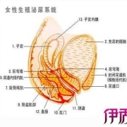 孕期出血是怎么回事,孕妇尿道口两边的肉痒怎么办