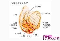 孕期出血是怎么回事,孕妇尿道口两边的肉痒怎么办
