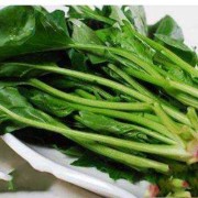 孕妇吃菠菜对胎儿好吗（菠菜保胎还是滑胎）