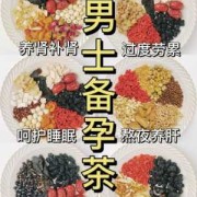男性备孕期间吃什么（男性备孕期间吃什么）