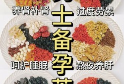 男性备孕期间吃什么（男性备孕期间吃什么）
