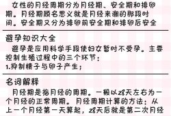 怀孕期间会排卵吗（女性怀孕期间会排卵吗）