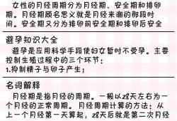 怀孕期间会排卵吗（女性怀孕期间会排卵吗）