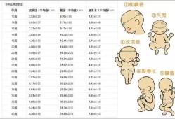胎儿腿长一定是女孩吗（胎儿腿长的一定是女孩吗）