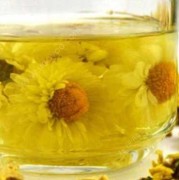 孕期可以喝菊花茶吗（菊花茶孕妇能喝吗）