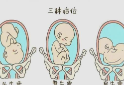 一个月的宝宝趴着正确姿势,胎儿脸朝里是男孩还是女孩
