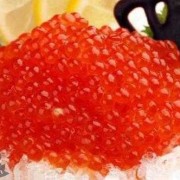孕期吃鱼籽（狗狗能吃鱼籽吗）