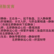 胎儿永久性右脐静脉是什么意思（胎儿永久性右脐静脉是什么意思）