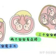 产期和孕期（产期和孕期的区别）