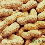 怀孕期间可以吃花生吗（怀孕期间可以吃花生吗?）