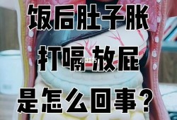 早孕期打嗝（刚怀孕肚子胀气打嗝放屁，胃反酸正常吗）