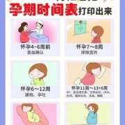 宝妈怀孕宝爸需要做什么,胎儿与准爸爸的区别
